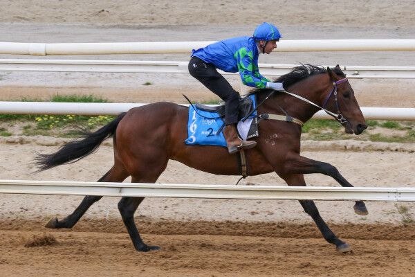 Lot 165: Alabama Express / World Awaits