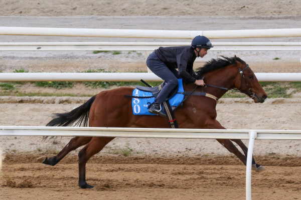 Lot 180: Prague / Annabeth