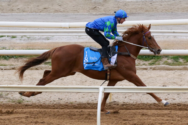 Lot 187: Tagaloa / Awakening