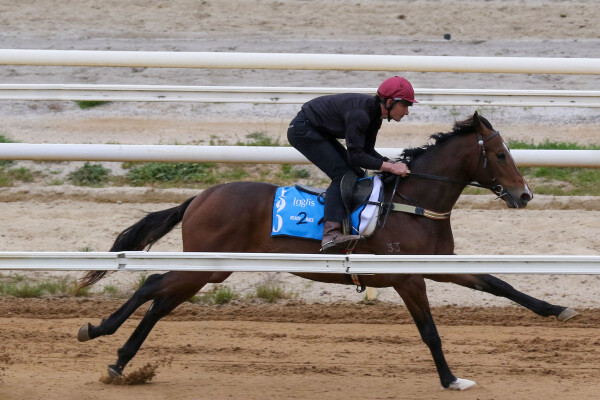 Lot 190: Wild Ruler / Beatniks