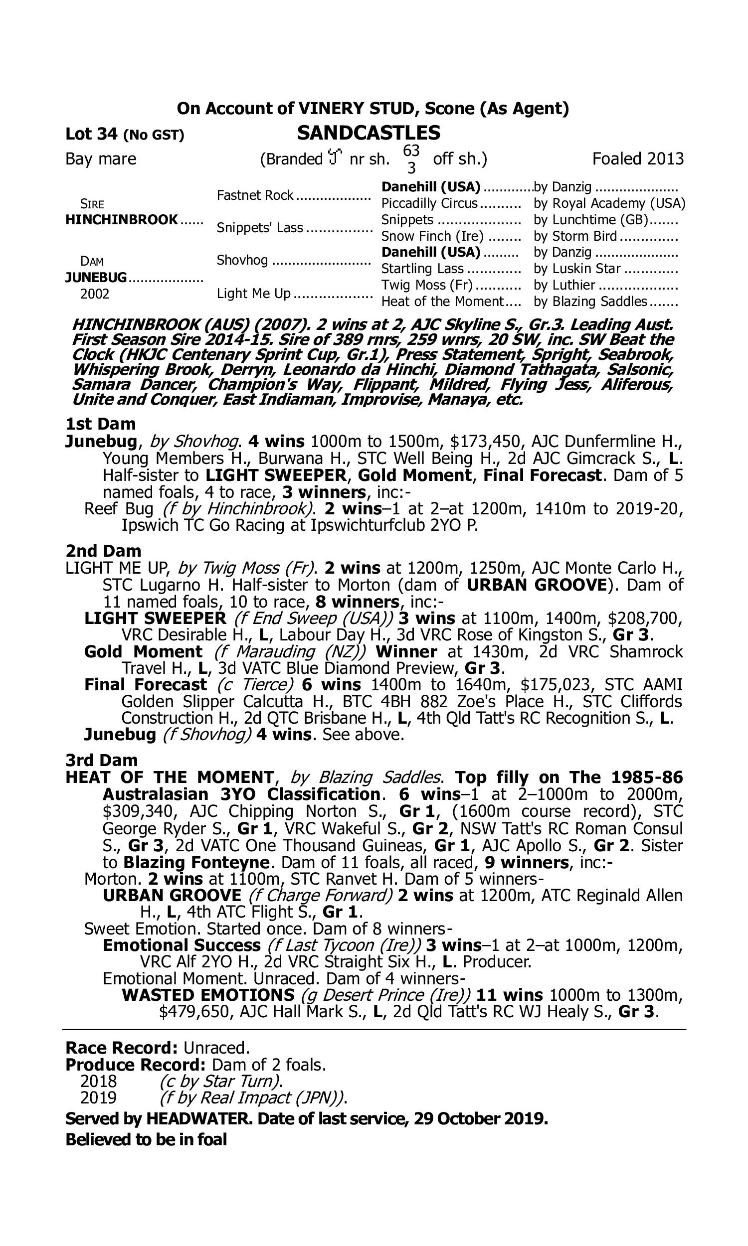Pedigree for Lot 34 Hinchinbrook - Junebug