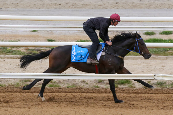 Lot 192: Royal Meeting (IRE) / Belfast Lass