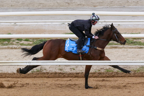 Lot 195: Shamus Award / Brilliant Bisc