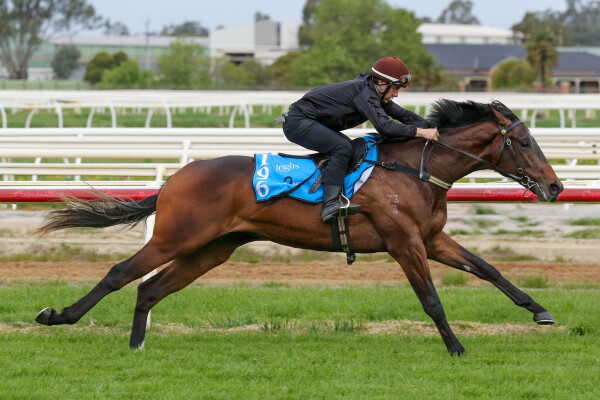 Lot 196: Dirty Work / Bronte Babe