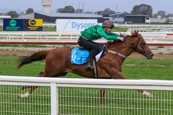 Lot 205: Exceed and Excel / Chantrea