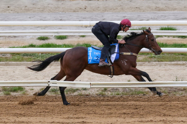 Lot 217: Rubick / Devout