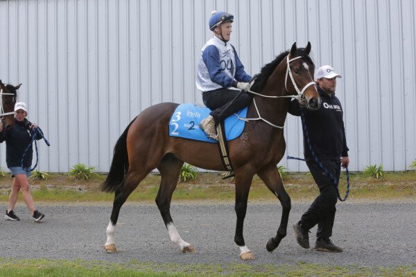 Lot 32: The Autumn Sun / Hole in Ten