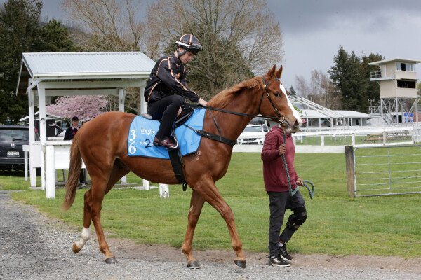 Lot 36: Rubick / I'm an Outoftowner