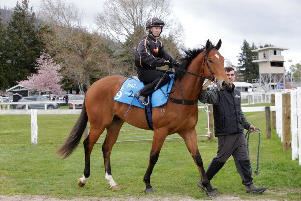 Lot 49: Farnan / Kozakov