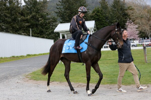 Lot 72: Per Incanto (USA) / Miss Hoi Polloi (NZ)