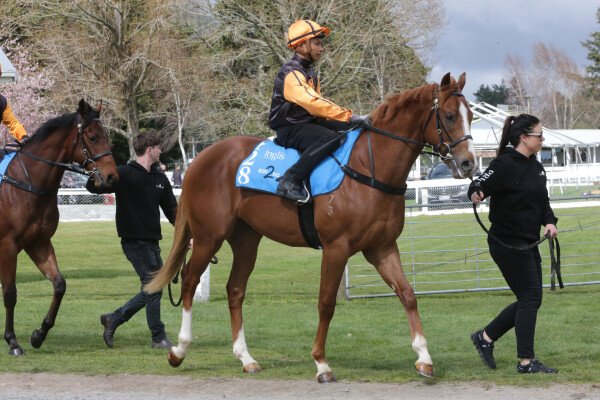 Lot 128: Exceed and Excel / Sharapova