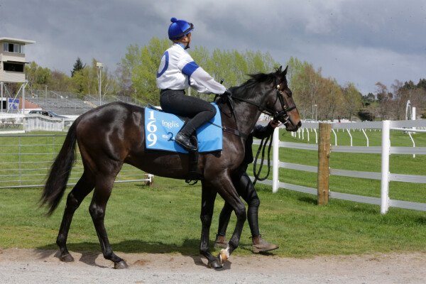 Lot 169: Palace Pier (GB) / Zilva