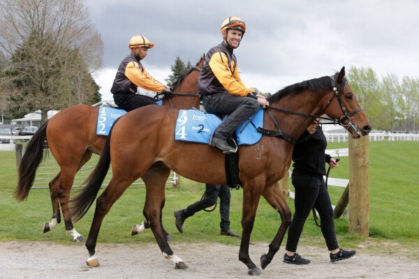 Lot 194: Shamexpress (NZ) / Blinkie (NZ)