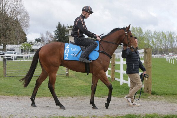 Lot 202: Written By / Cecile