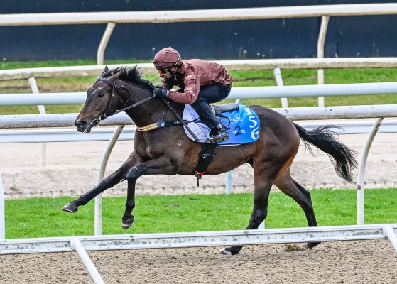 Lot 156: Yes Yes Yes / Victory Tycoon