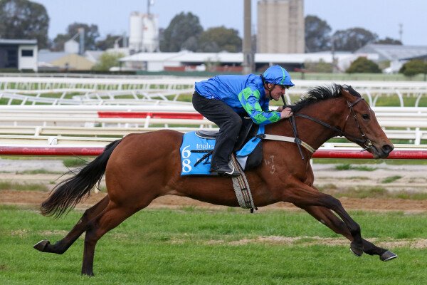 Lot 68: I Am Invincible / Maroon Bay
