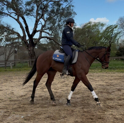 Lot 94: Rubick / Passport to Fun