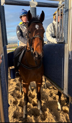 Lot 122: Hanseatic / Scarlet Charge