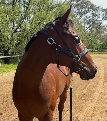 Lot 94: Rubick / Passport to Fun