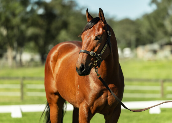 Lot 19: All Too Hard / Friendly Donna