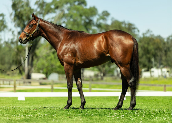 Lot 26: Stay Inside / Gust of Wind (NZ)