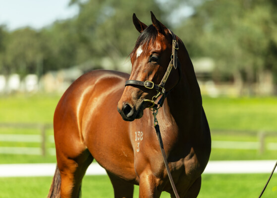 Lot 108: Exceedance / Pussycat Dream (GB)