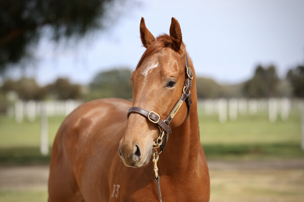 Lot 20: All Too Hard / Front Money