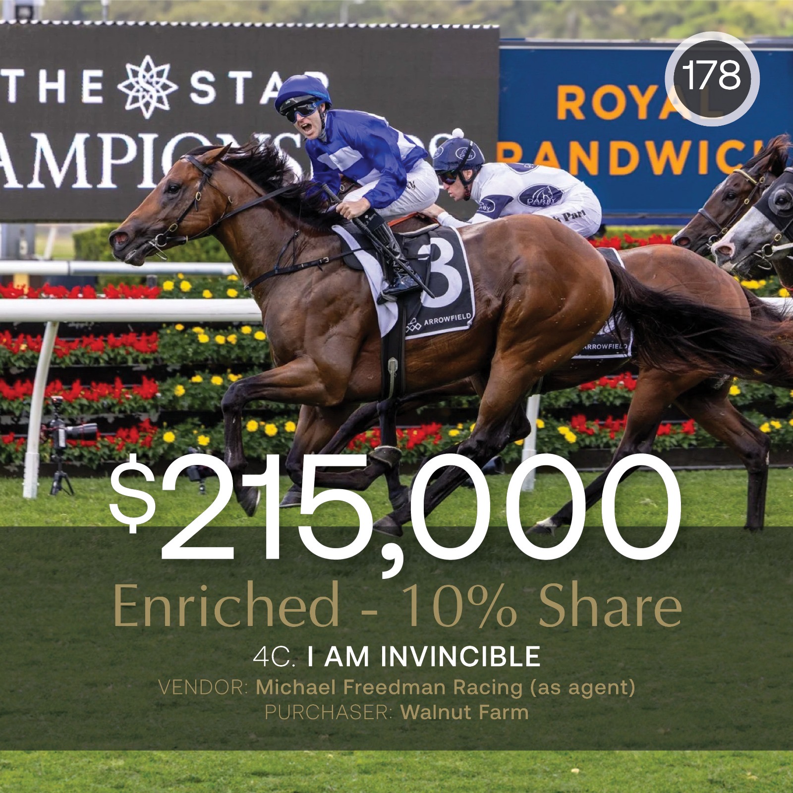 Enriched shares dominate October (Early) Sale