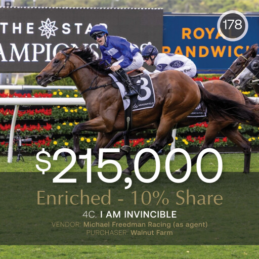 Enriched shares dominate October (Early) Sale