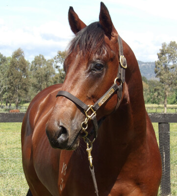 Lot 2: Exceed and Excel / East Asia (NZ)