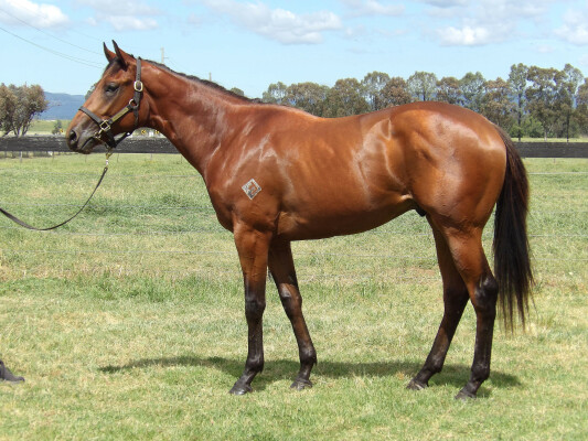 Lot 28: Tassort / Happy Highway