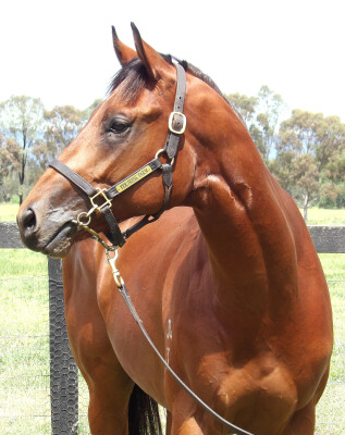 Lot 28: Tassort / Happy Highway