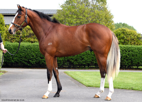 Lot 149: Churchill (IRE) / Tsarina