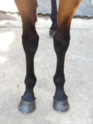 Lot 2: Exceed and Excel / East Asia (NZ)