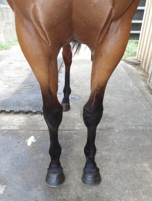 Lot 28: Tassort / Happy Highway