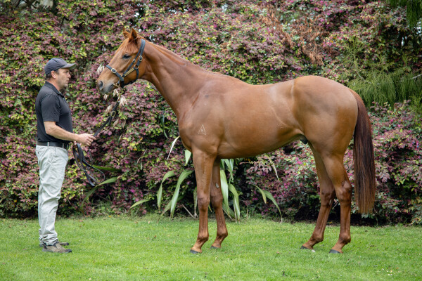 Lot 50: Written By / Kyria