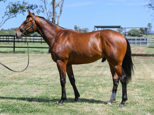 Lot 79: Yes Yes Yes / Moreau