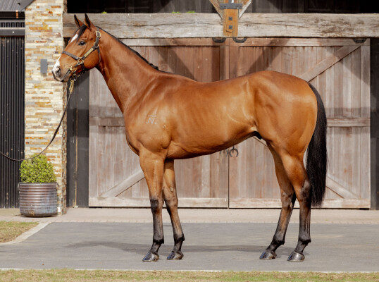 Lot 202: Written By / Cecile