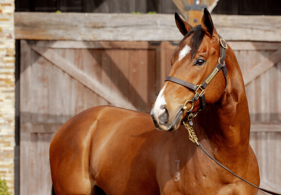 Lot 202: Written By / Cecile