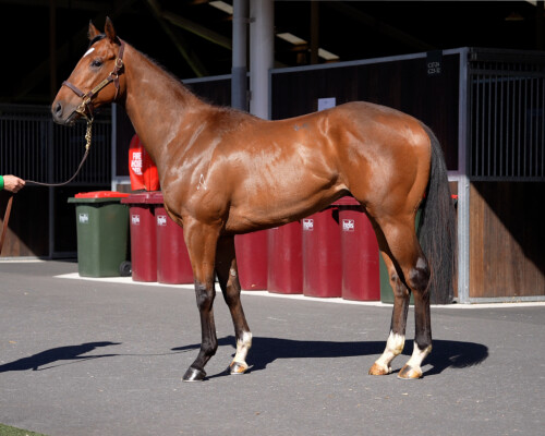 Lot 93: Pierro / Pass the Parcel
