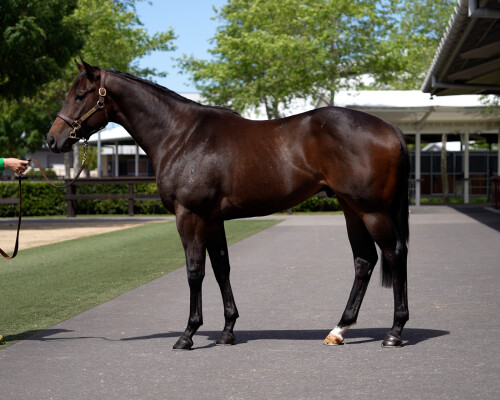 Lot 148: Written By / Treasure