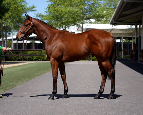 Lot 180: Prague / Annabeth