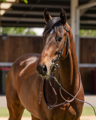 Lot 196: Dirty Work / Bronte Babe