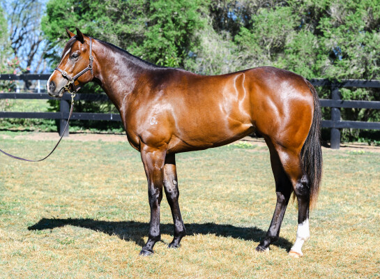 Lot 172: St Mark's Basilica (FR) / Alderney