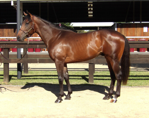 Lot 47: North Pacific / Karaoke Queen