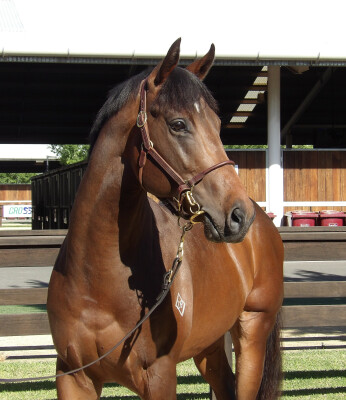 Lot 47: North Pacific / Karaoke Queen