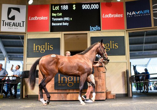Record results at stunning Ready2Race Sale 