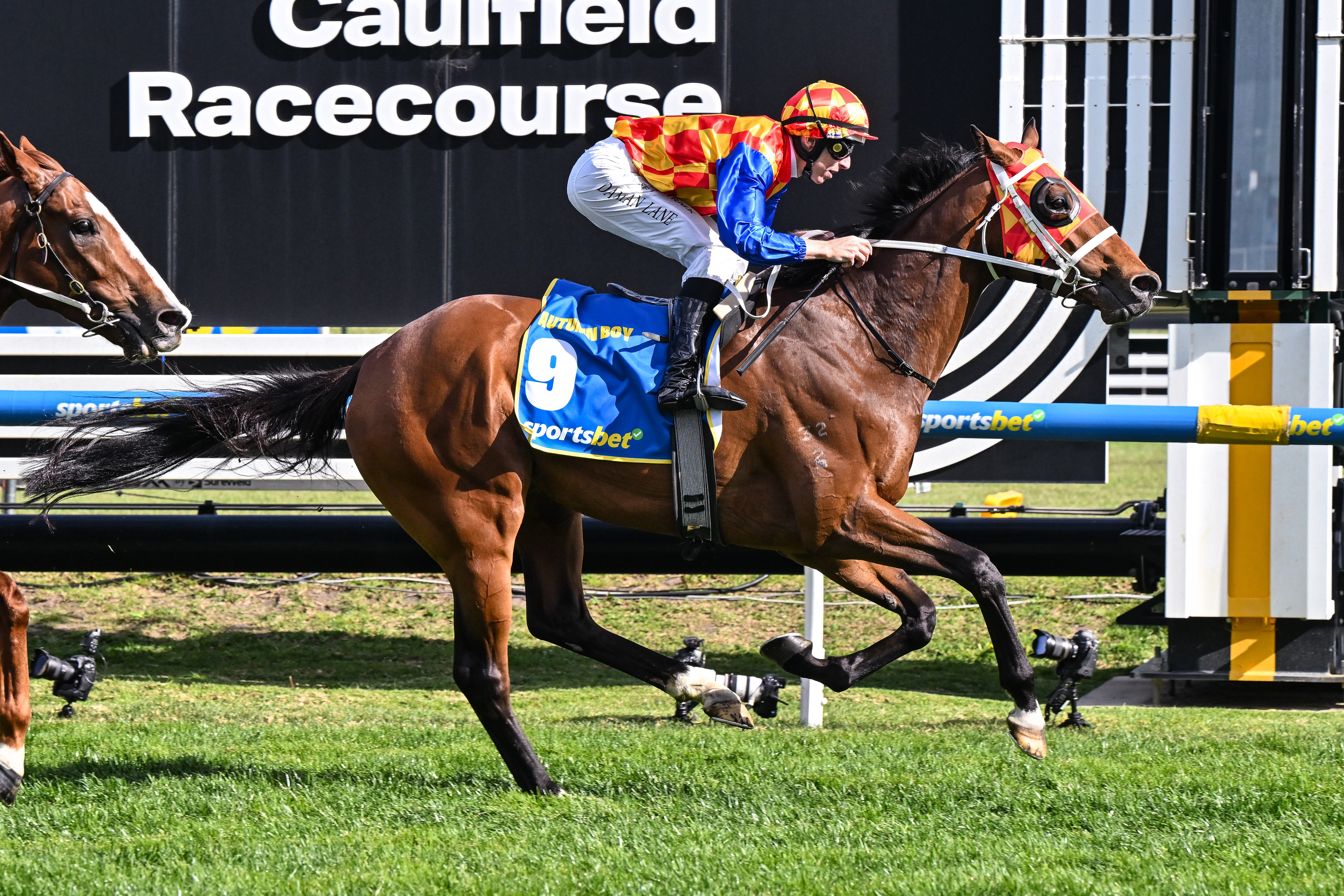 Relation to Caulfield Guineas winner headlines October (Late) Sale