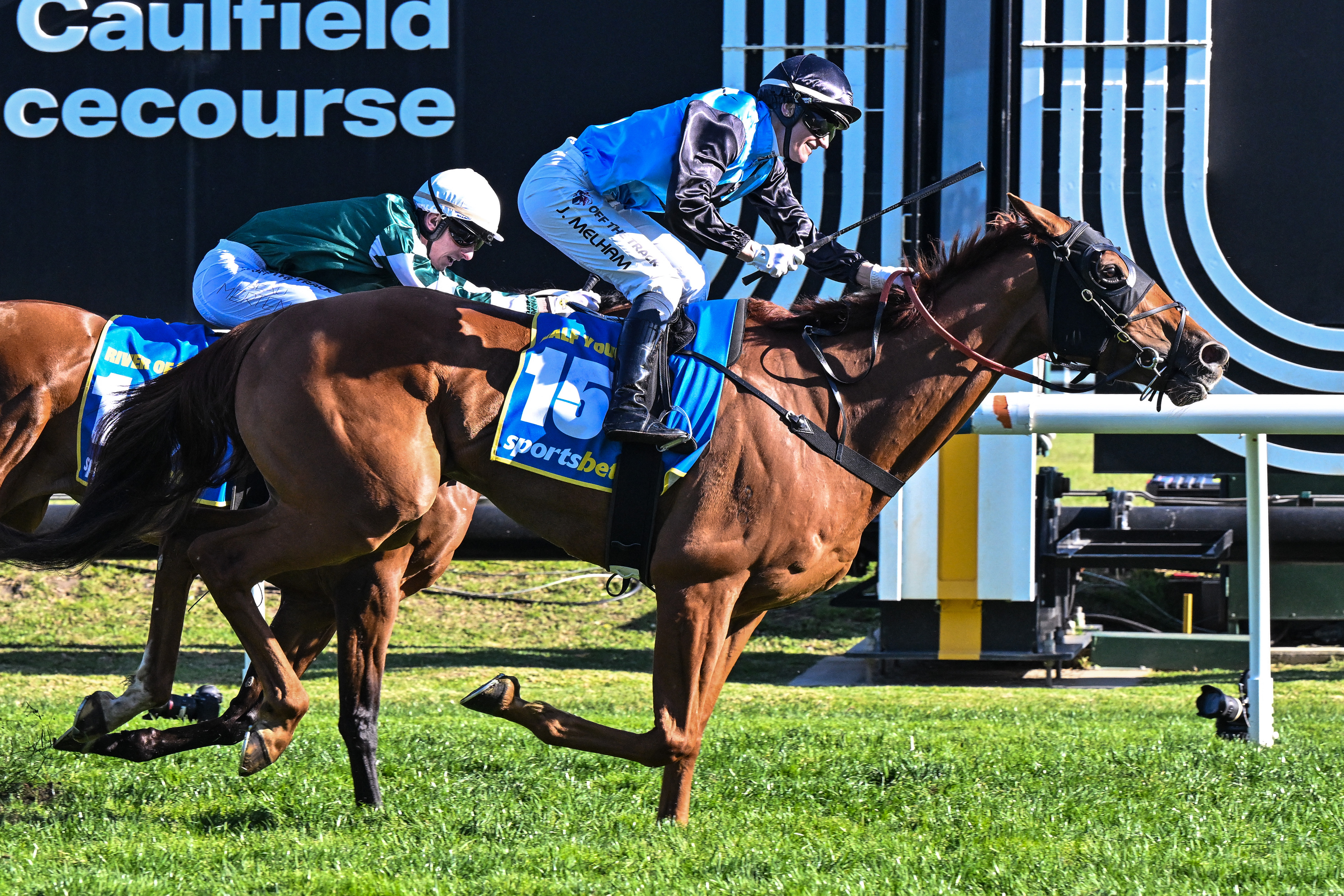 Inglis Digital star Half Yours wins Caulfield Cup