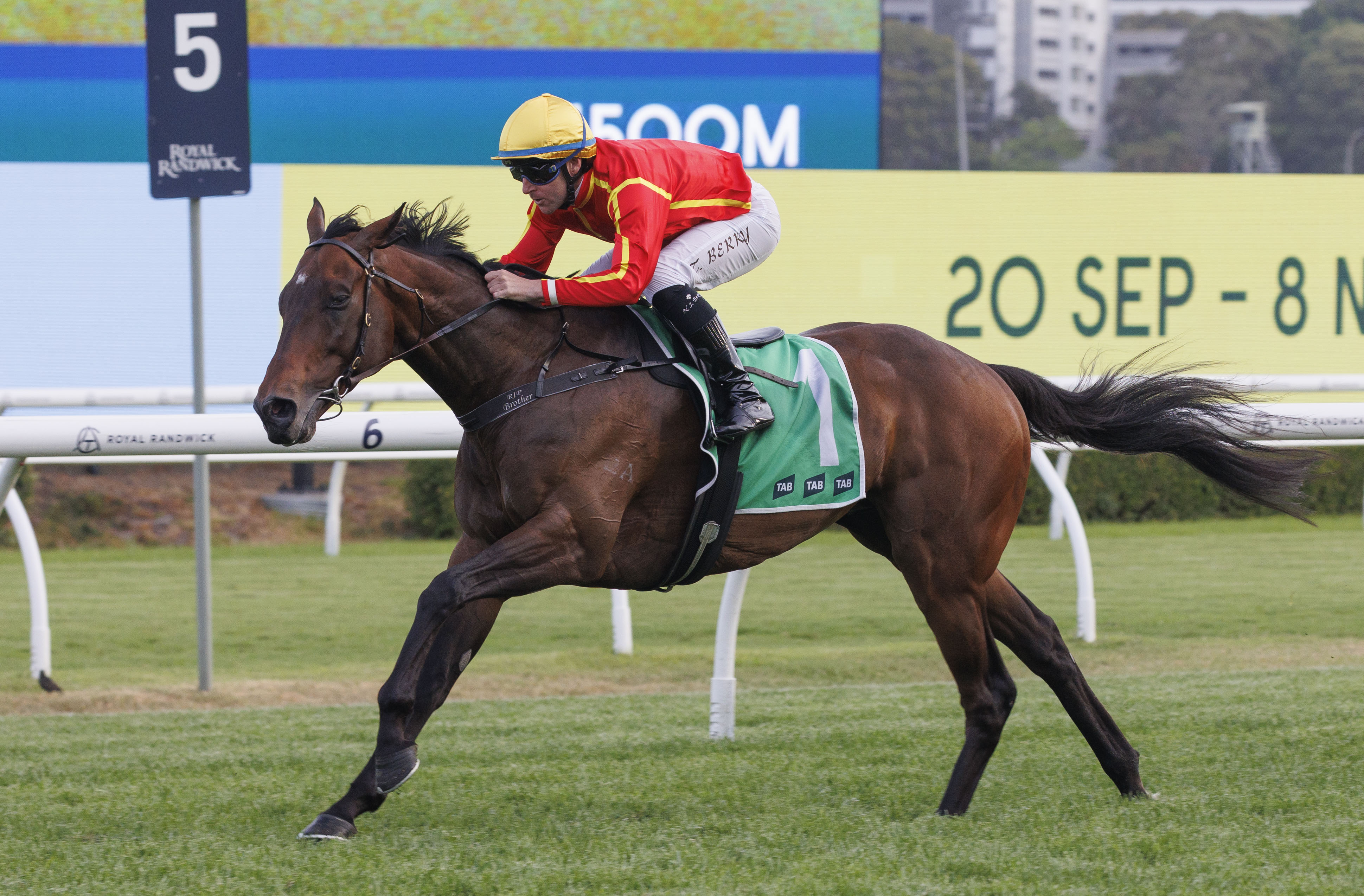 Transatlantic does it again!